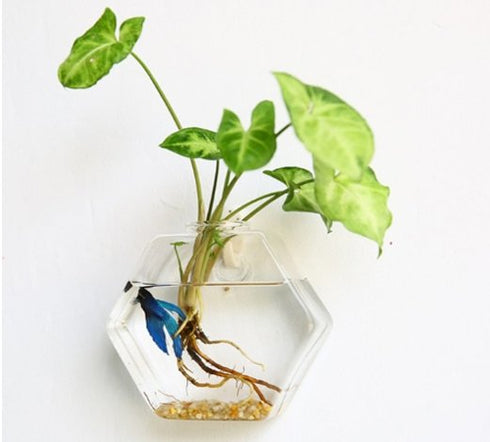 Bubbly™ Hydroponic Vases