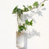 Bubbly™ Hydroponic Vases