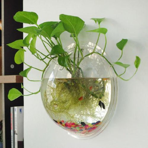 Bubbly™ Hydroponic Vases