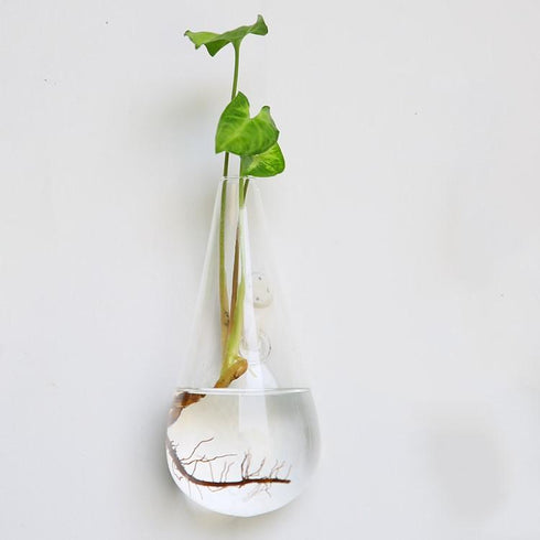 Bubbly™ Hydroponic Vases