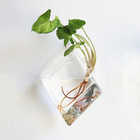 Bubbly™ Hydroponic Vases