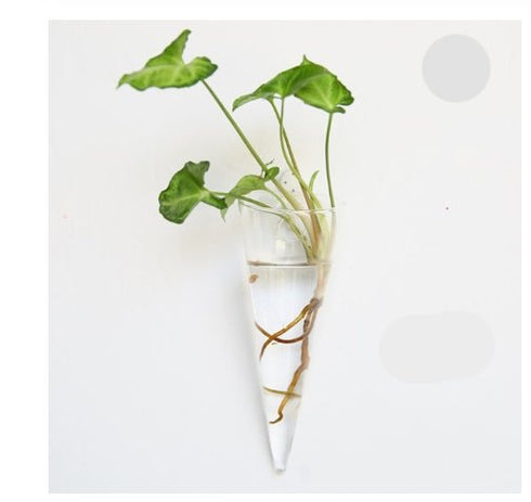 Bubbly™ Hydroponic Vases