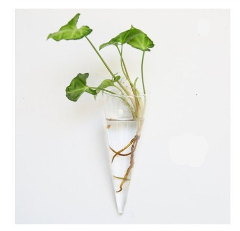 Bubbly™ Hydroponic Vases