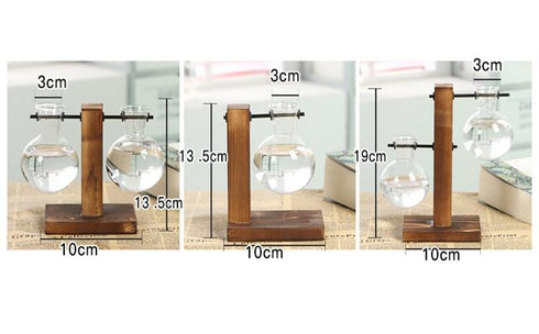 Hydroponic Vintage Vase