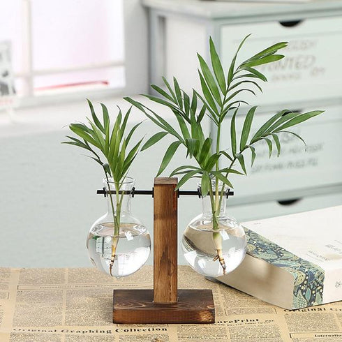 Hydroponic Vintage Vase
