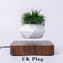 LevPot™ 2 - Levitating Mini Bonsai Pot