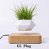 LevPot™ 2 - Levitating Mini Bonsai Pot