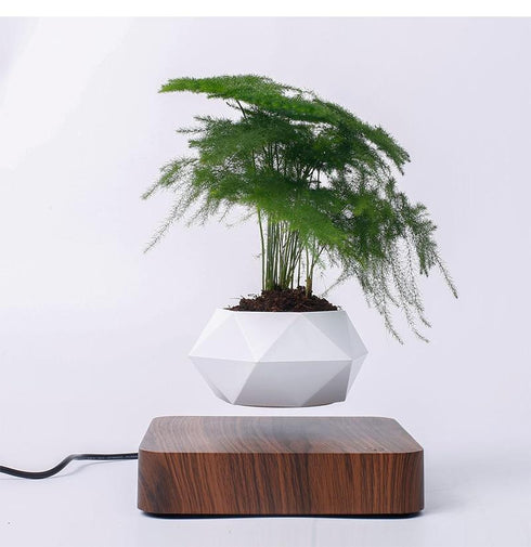 LevPot™ 2 - Levitating Mini Bonsai Pot