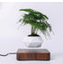LevPot™ 2 - Levitating Mini Bonsai Pot