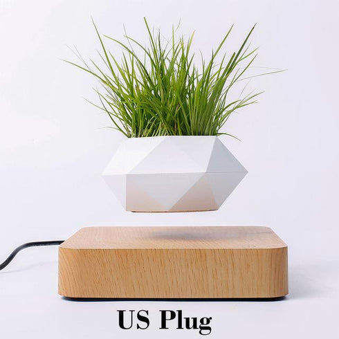 LevPot™ 2 - Levitating Mini Bonsai Pot