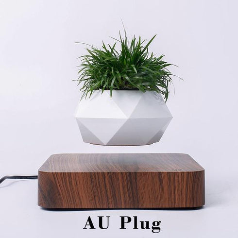 LevPot™ 2 - Levitating Mini Bonsai Pot
