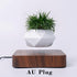 LevPot™ 2 - Levitating Mini Bonsai Pot