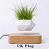 LevPot™ 2 - Levitating Mini Bonsai Pot