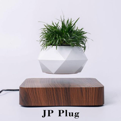 LevPot™ 2 - Levitating Mini Bonsai Pot