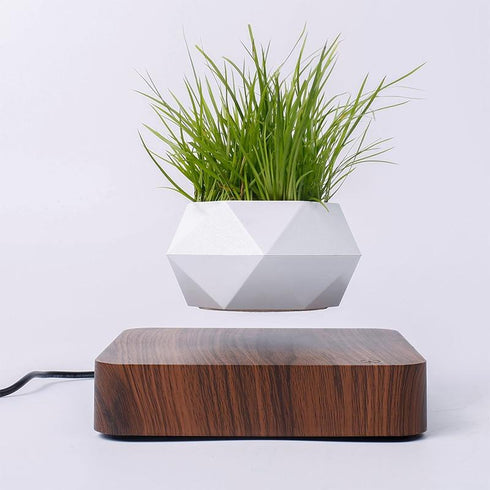 LevPot™ 2 - Levitating Mini Bonsai Pot