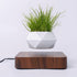 LevPot™ 2 - Levitating Mini Bonsai Pot
