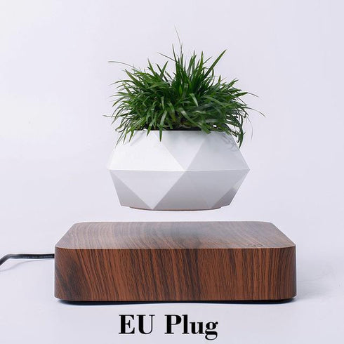 LevPot™ 2 - Levitating Mini Bonsai Pot