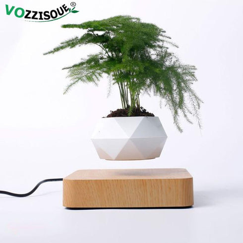 LevPot™ 2 - Levitating Mini Bonsai Pot