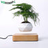 LevPot™ 2 - Levitating Mini Bonsai Pot