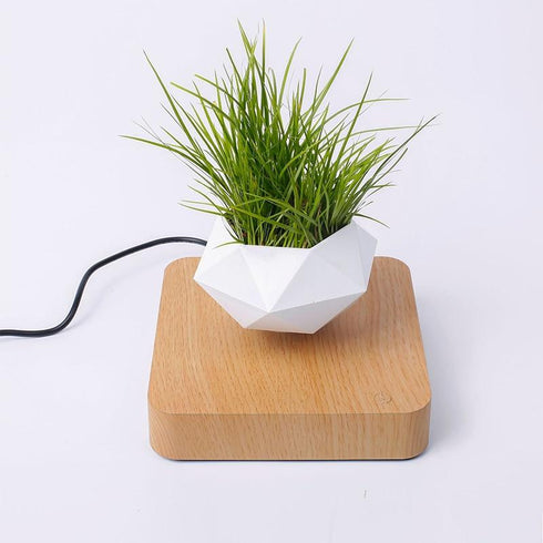 LevPot™ 2 - Levitating Mini Bonsai Pot