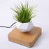 LevPot™ 2 - Levitating Mini Bonsai Pot