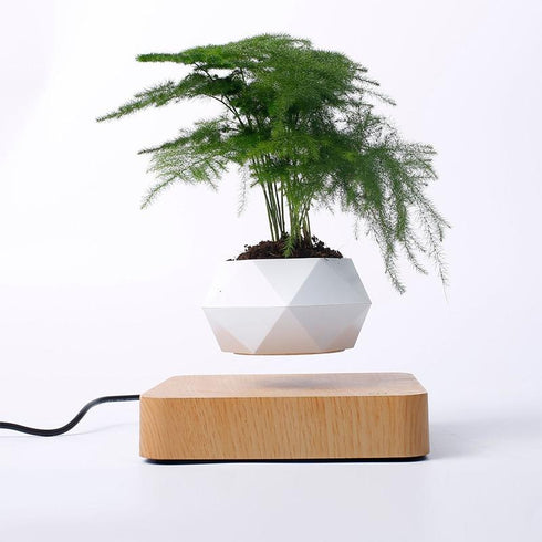 LevPot™ 2 - Levitating Mini Bonsai Pot