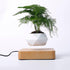 LevPot™ 2 - Levitating Mini Bonsai Pot