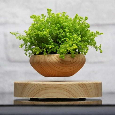 LevPot™ - Levitating Mini Bonsai Pot