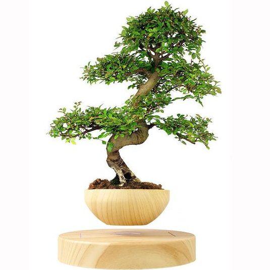 levitos plant pot LevPot™