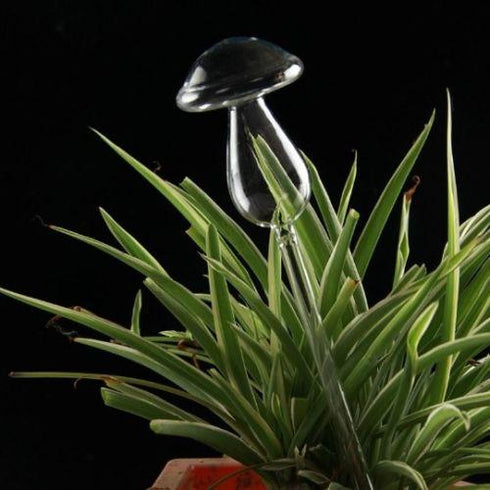 Self Watering Bulbs (Set of 2)