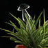 Self Watering Bulbs (Set of 2)