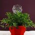 Self Watering Bulbs (Set of 2)