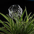 Self Watering Bulbs (Set of 2)
