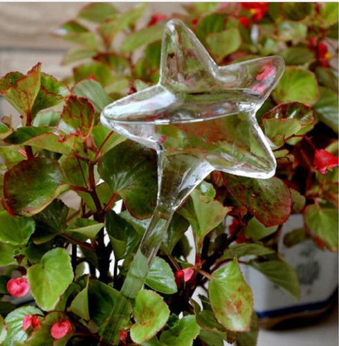 Self Watering Bulbs (Set of 2)